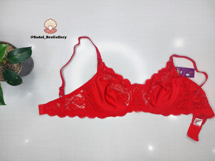 سوتین زنانه لین LEEN کد 614 C دانتل استرج فنردار