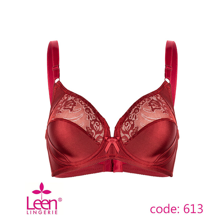 سوتین زنانه لین LEEN کد 613 مینی مایزر فنردار گلدوزی